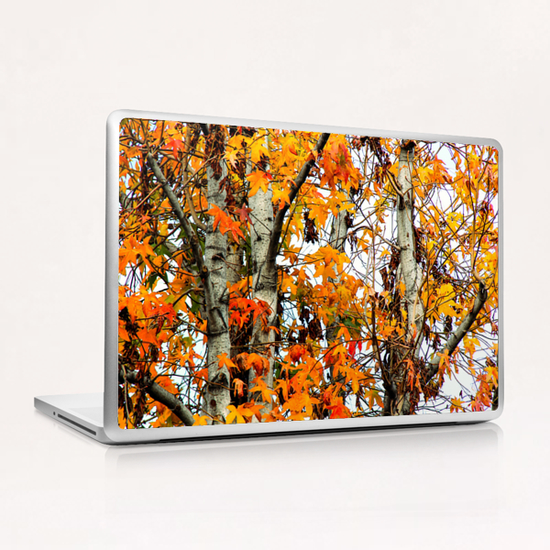 autumn maple leaves background Laptop & iPad Skin by Timmy333