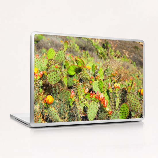 green cactus with red and yellow flower texture background Laptop & iPad Skin by Timmy333