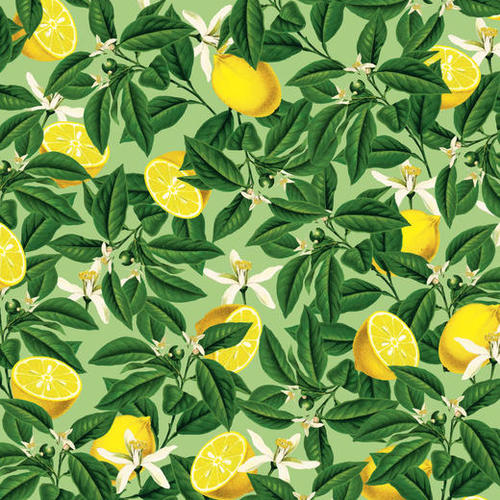 Lemonade V2 Mural by Uma Gokhale